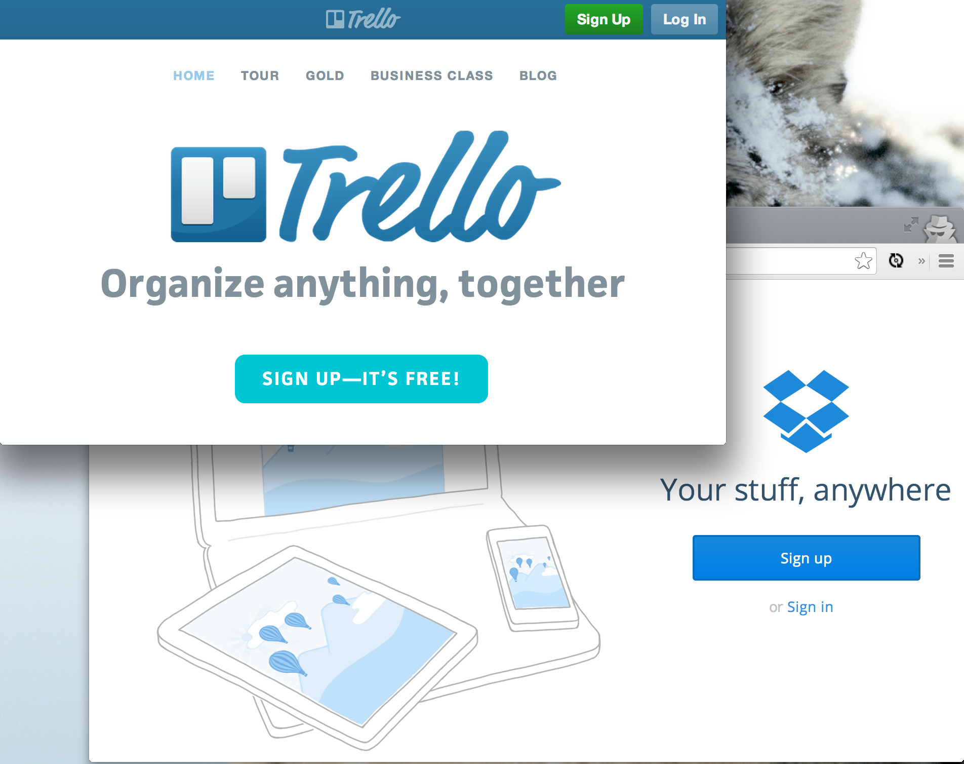 Trello Dropbox integration: your files as organised as your projects