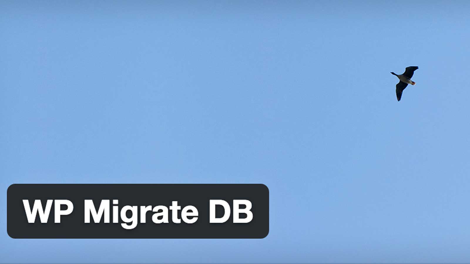 Disable plugins using WP Migrate DB